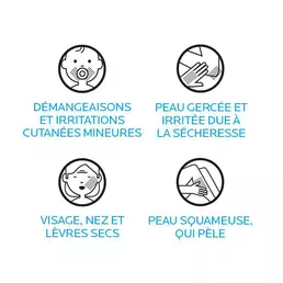 CICAPLAST BAUME B5 apaisant