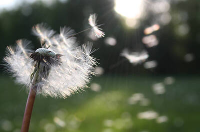 Top 10 allergens… And tips to avoid them