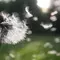 Top 10 allergens… And tips to avoid them