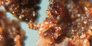 Caffeine - Known to help reduce the appearance of under eye bags and dark circles