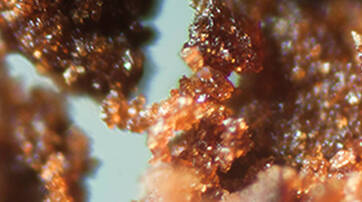 Caffeine - Known to help reduce the appearance of under eye bags and dark circles