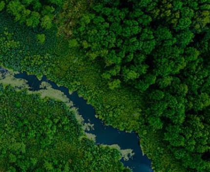 Caring for the earth is caring for your skin