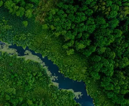 Caring for the earth is caring for your skin