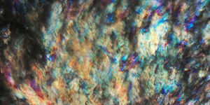 Mp-lipids - Proven efficacy on the synthesis of moisturizing factors, lipids and proteins essential to skin’s comfort and protection