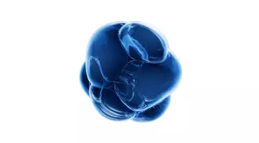Hyaluronic Acid
