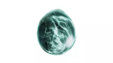 Hyaluronic Acid