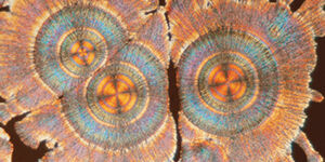 Pure vitamin C - Powerful anti-oxidant that boosts skin radiance and uniformity