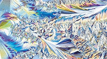 Retinol - Accelere le renouvellement cellulaire pour lisser les rides et le teint