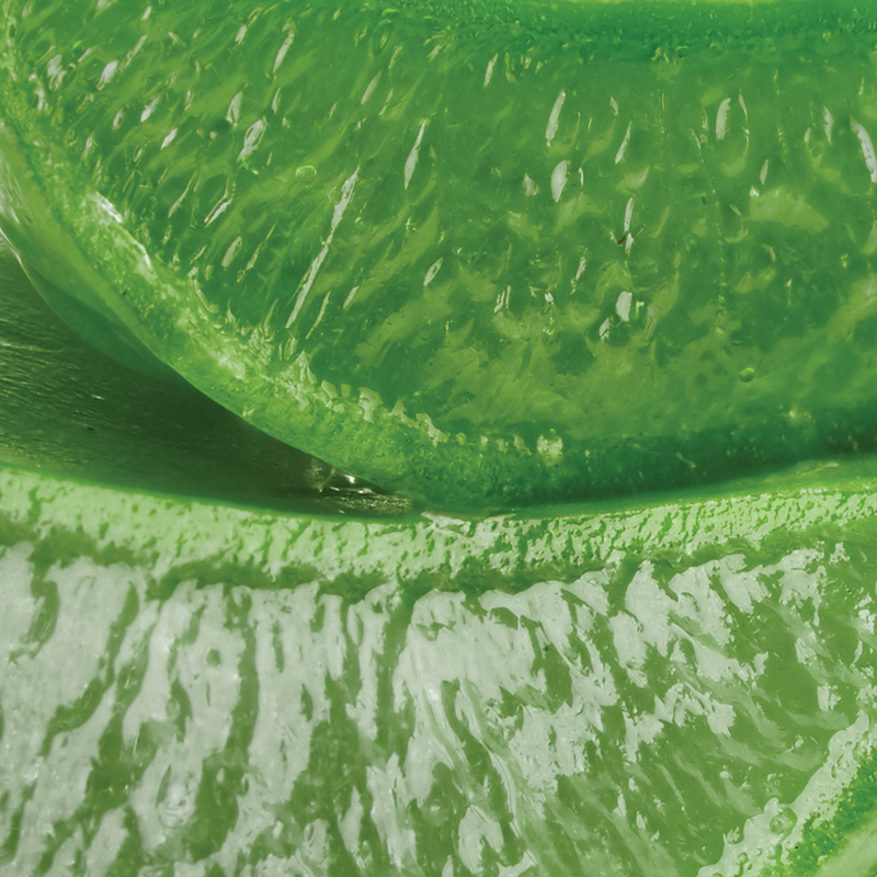 Aloe vera
