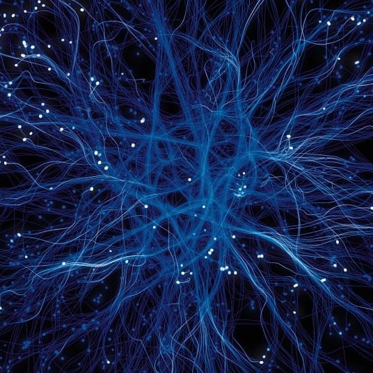 Neurobioma