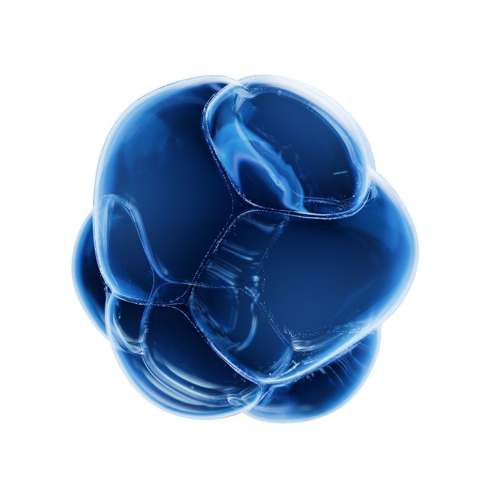 Hyaluronic Acid
